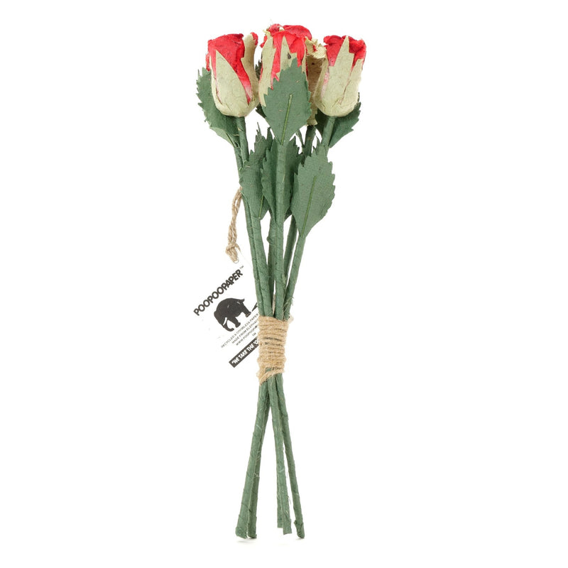 Bouquet de Roses - PooPooPaper Papier Écologique